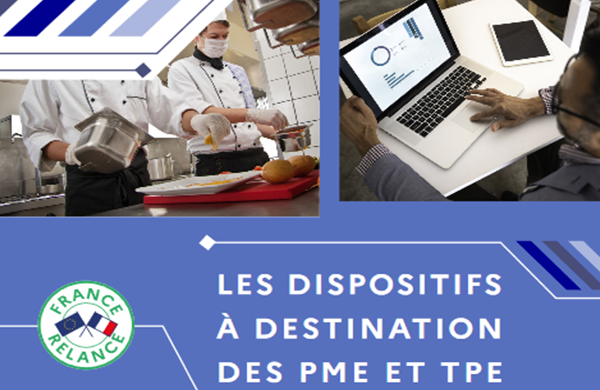 Recueil des aides et dispositifs de développement des entreprises