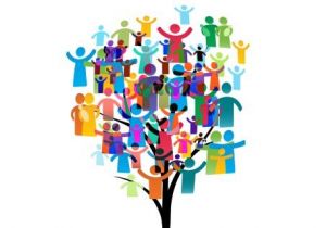 Plateforme interactive ESS