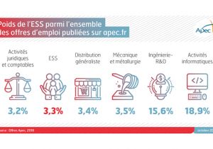 Apec : Données et analyses sur l'emploi des cadres dans l'ESS