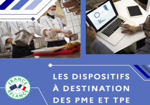 Recueil des aides et dispositifs de développement des entreprises