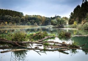 Initiatives de transition socio-écologique en BFC