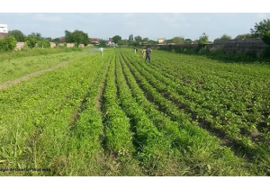 La Régie de Quartier Saint Jean sur le site de Chalon-sur-Saône